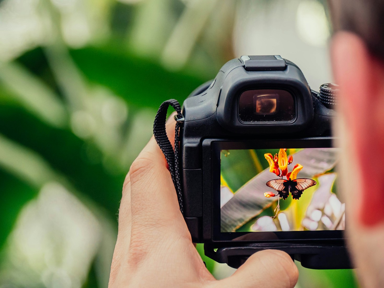 Tipps für ein gelungenes Shooting mit Tieren